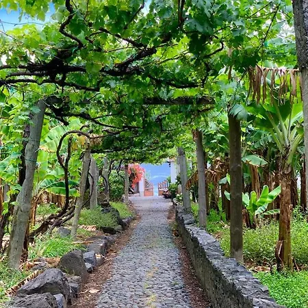 Faja Dos Padres Ferienhaus Ribeira Brava