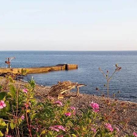 Faja Dos Padres Ferienhaus Ribeira Brava