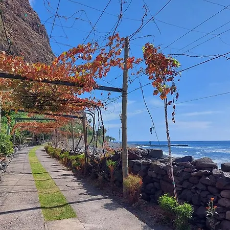 Faja Dos Padres Ribeira Brava