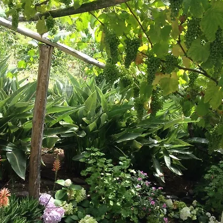 펜션 Faja Dos Padres *