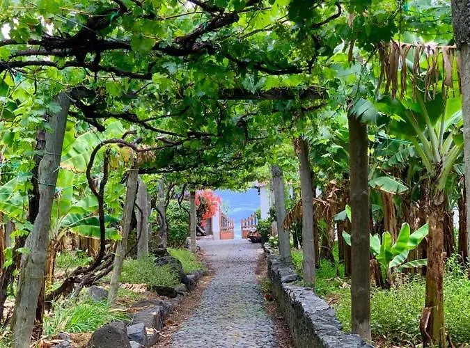 Faja Dos Padres Holiday home Ribeira Brava