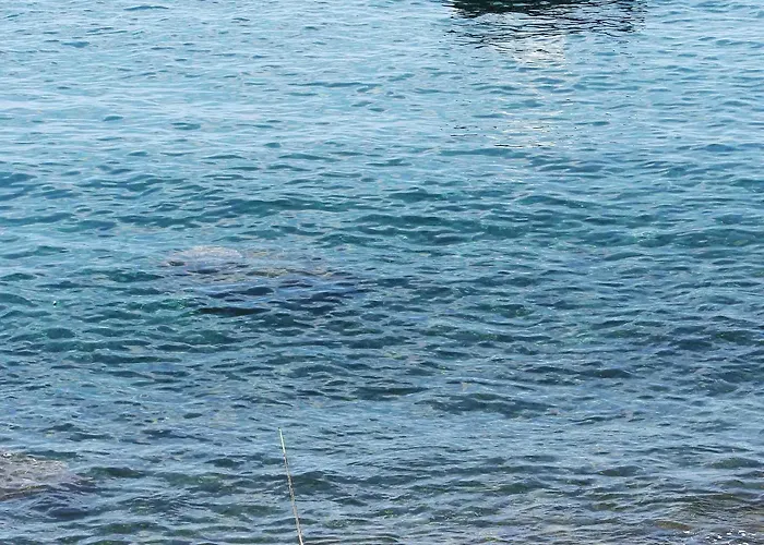 Faja Dos Padres Holiday home Ribeira Brava