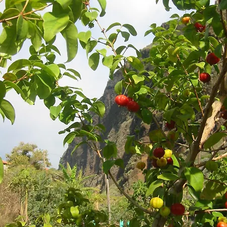 別荘 Faja Dos Padres