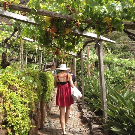 Faja Dos Padres リベイラ・ブラーヴァ