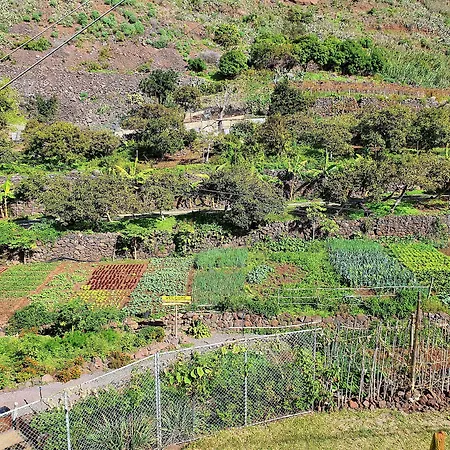 Faja Dos Padres Ribeira Brava