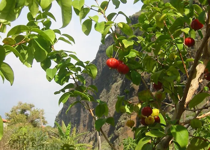 Holiday home Faja Dos Padres