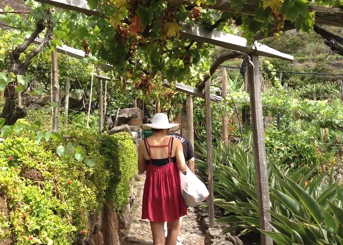 Faja Dos Padres Ribeira Brava