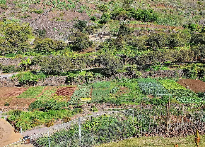 Faja Dos Padres Ribeira Brava