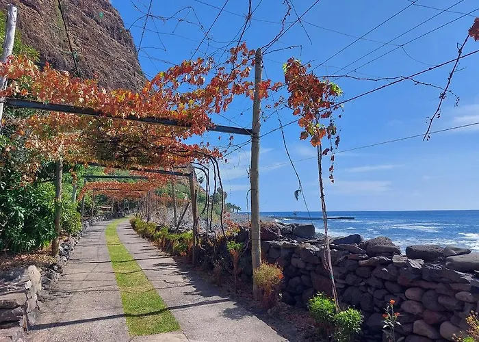 Faja Dos Padres Ribeira Brava