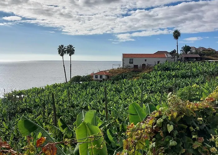 Faja Dos Padres Ferienhaus Ribeira Brava