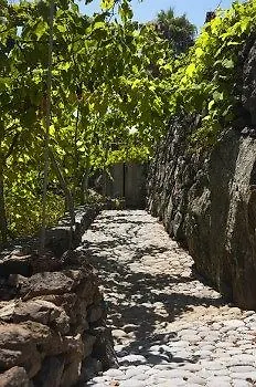 Faja Dos Padres Ribeira Brava